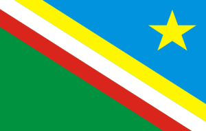 Bandeira do Município de Uiramutã